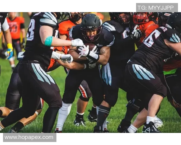 户外体育器材批发市场全景解析与行业发展趋势探讨